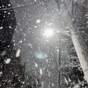 ❌ⅩX❌fcesg老熟妇
