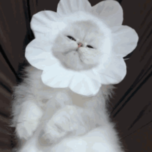 ❌ⅩX❌fcesg老熟妇
